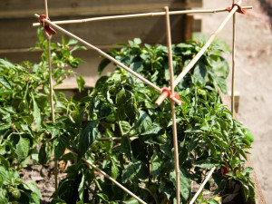 Garden Connects