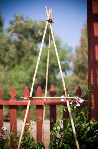 gardenthings10_sht02_142