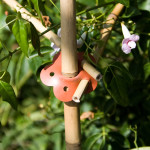 garden things connects