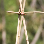 Garden things connects teepee